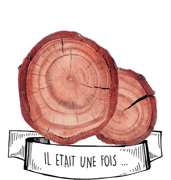 Huile Essentielle de Bois de Rose : Le Guide d'Utilisation et d'achat - Olyaris